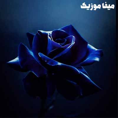 دانلود آهنگ وفا شریف آوا Popuri
