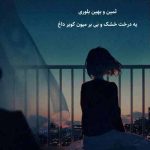 دانلود آهنگ ثمین و بهین بلوری یه درخت خشک و بی بر میون کویر داغ