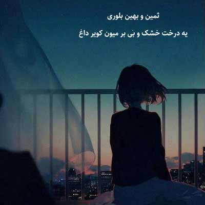 دانلود آهنگ ثمین و بهین بلوری یه درخت خشک و بی بر میون کویر داغ