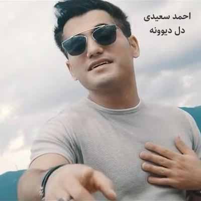 دانلود اهنگ احمد سعیدی دل دیوونه
