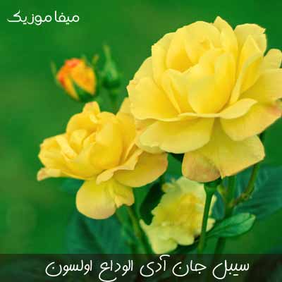 دانلود آهنگ ترکی سیبل جان آدی الوداع اولسون ( 320 / 128 ) 55555274 - دانلود آهنگ ترکی سیبل جان آدی الوداع اولسون ( 320 / 128 )