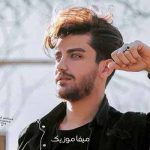 دانلود آهنگ همین که دیدمت دل رفت ضربان من تند میزد