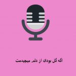 دانلود اهنگ اگه گل بودی از دلم میچیدمت با صدای زن