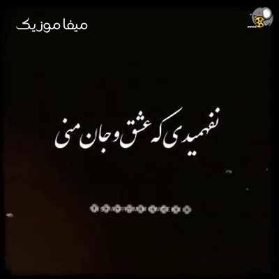 دانلود آهنگ نفهمیدی که عشق و جان منی ریمیکس