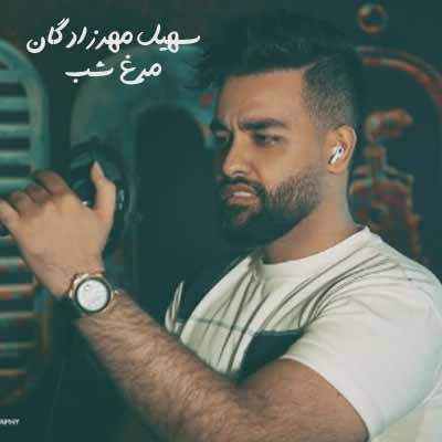 دانلود آهنگ سهیل مهرزادگان چو مرغ شب خواندی و رفتی دلم را لرزاندی و رفتی