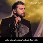 دانلود آهنگ توی قلب کوچیکم جاتو محکم میکنم