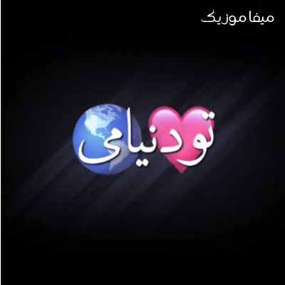 دانلود اهنگ از زمانی که واسه خودم شدی گلم ریمیکس
