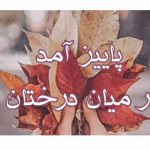 دانلود آهنگ پاییز آمد در میان درختان لانه کرده کبوتر