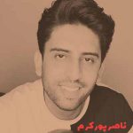 دانلود آهنگ دیوونه بازیاتو دوست داشتم