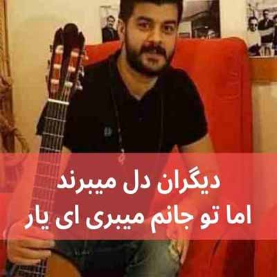 دانلود ریمیکس اهنگ دیگران دل میبرند اما تو جانم میبری