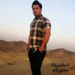 دانلود آهنگ مجتبی آلاله دنیای بی وفا