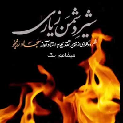 دانلود دکلمه شیر دشمن زیاری هومیر
