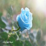 دانلود آهنگ لیلی با بی وفایی شکسته قلب مجنون با صدای بچه
