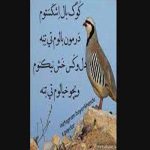 دانلود آهنگ کوگ بال اشکهستم ریمیکس