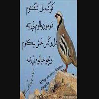 دانلود آهنگ کوگ بال اشکهستم ریمیکس