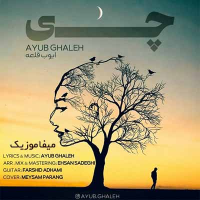 دانلود آهنگ ایوب قلعه چی