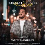 دانلود آهنگ مجتبی دربیدی شبای تهرون