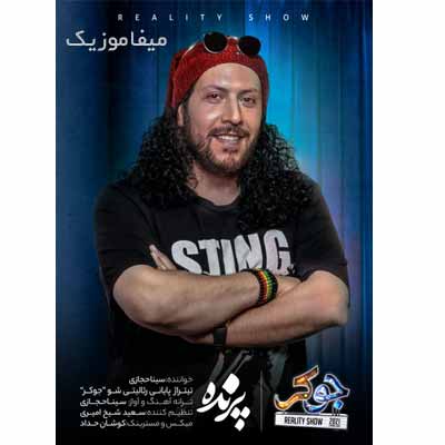 دانلود آهنگ سینا حجازی پرنده