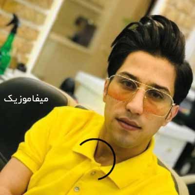 دانلود آهنگ میلاد شاکری گل اندام