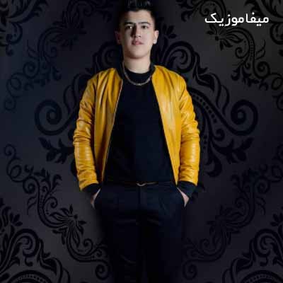 دانلود آهنگ میثم برزنونی پناه