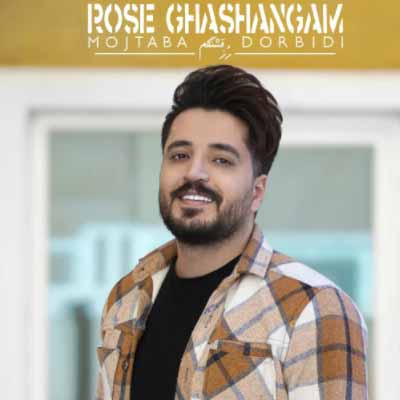 دانلود آهنگ مجتبی دربیدی رز قشنگم