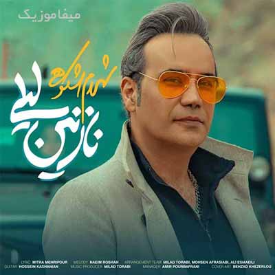 دانلود اهنگ نازنین لیلی گلم لیلی از چه بی میلی که من خیلی بی قرارم 
