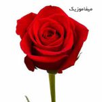 دانلود اهنگ مهربونیتو با جون میخرم من