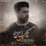 دانلود آهنگ محسن احمدی نازک دل