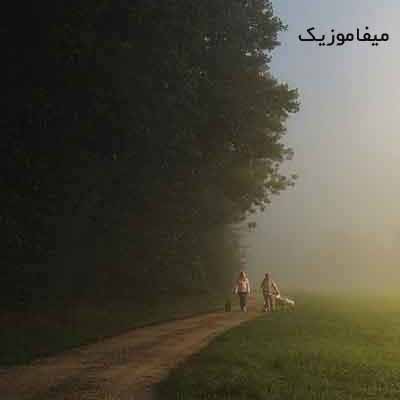 دانلود آهنگ من اون عاشق شبگردم نباشی من پره دردم