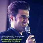 دانلود آهنگ بزن و بکوب کن بیا از محسن لرستانی ریمیکس