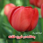 دانلود آهنگ به لاله در خون خفته