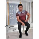 دانلود آهنگ مجتبی آلاله ماه زیبا