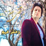 دانلود آهنگ مرتضی جعفرزاده دختر عمو