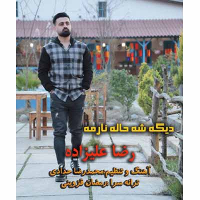 رضا علیزاده دیگه شه حاله نارمه