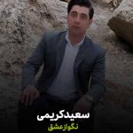 دانلود آهنگ سعید کریمی نگو از عشق