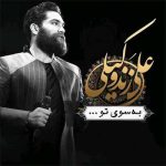 دانلود آهنگ علی زند وکیلی به سوی تو