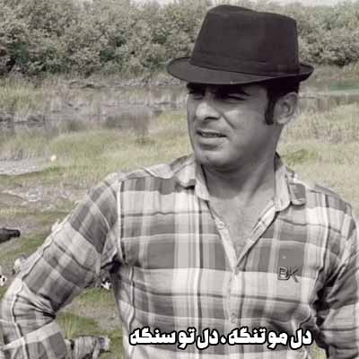 قاسم فاضلی دل مو تنگه دل تو سنگه
