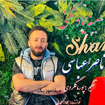 دانلود آهنگ ناصر عباسی منه یاد نکِنی