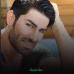 دانلود آهنگ رضا ملک زاده حواسم بهت هست