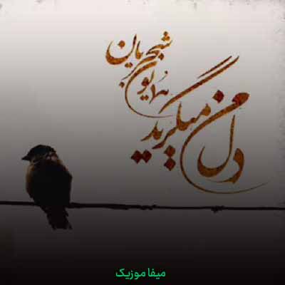دانلود آهنگ همایون شجریان دل من میگرید
