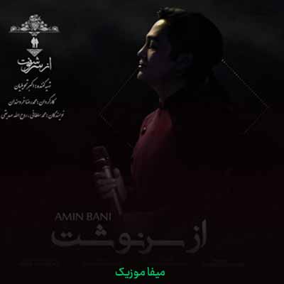 دانلود آهنگ امین بانی از سرنوشت