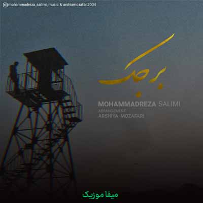 دانلود آهنگ محمدرضا سلیمی برجک