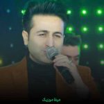 دانلود اهنگ ضربه خوردم خدا از نارفیقی دل ساده چه دردایی کشیدی