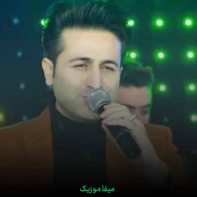 دانلود اهنگ ضربه خوردم خدا از نارفیقی دل ساده چه دردایی کشیدی