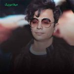 دانلود اهنگ تو سرم خاطره ول کردی رفتی این من دیوونه رو ول کردی