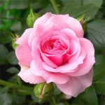 دانلود آهنگ میخوام امشب برم یه جایی بشینم که ازت خوابی ببینم