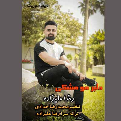 دانلود آهنگ رضا علیزاده دلبر مو مشکی