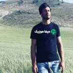 دانلود ریمیکس دوسش دارم دیوونه وار هادی رحیمی