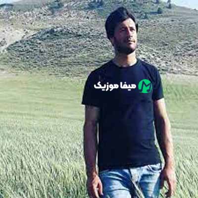 دانلود ریمیکس دوسش دارم دیوونه وار هادی رحیمی