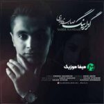 دانلود آهنگ صابر نامداری گزلرینگ